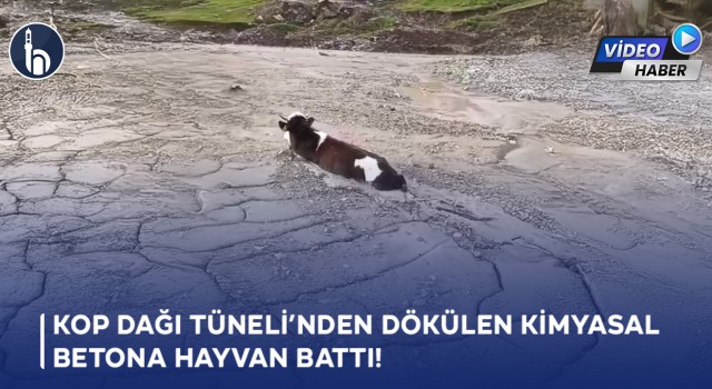 Kop Köyü Halkı Tepkili: “Atıklar Toprağı ve Suyu Tehdit Ediyor”