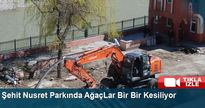 Şehit Nusret Parkı’nda Düzenleme Çalışmaları ve Vatandaş Tepkisi