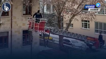 Cumhuriyet Caddesi’nde Mahsur Kalan Kuş, İtfaiye Tarafından Kurtarıldı