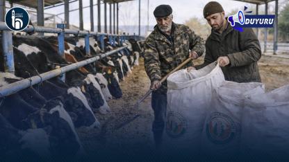 Bayburtlu Besicilere %40 Devlet Destekli Yem Müjdesi