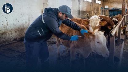 Bayburt’ta 2026 İlkbahar Aşılama Çalışmaları Devam Ediyor