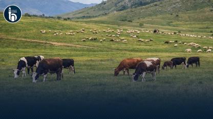 Bayburt’ta 2026 Mera Kullanım Esasları Belirlendi