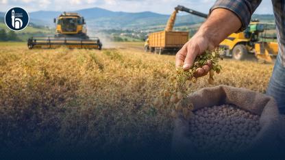 Bayburt Çiftçisine %75 Nohut, %50 Bezelye Hibesi Verilecek