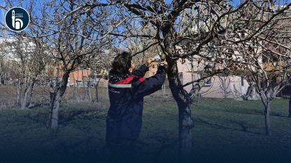 Aydıntepe’de Üreticilere Uygulamalı Budama Eğitimi