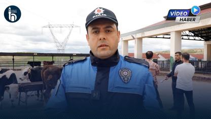 Bayburt Hayvan Pazarında Dolandırıcılığa Dikkat